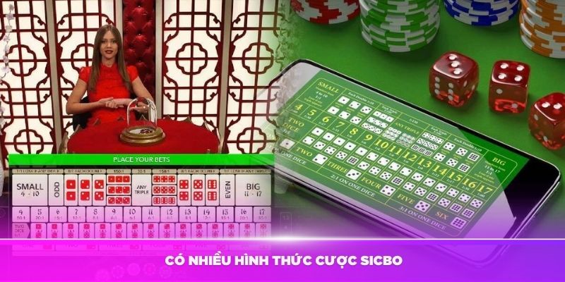 Tại sân chơi Kubet 77 có nhiều hình thức cược sicbo nổi bật