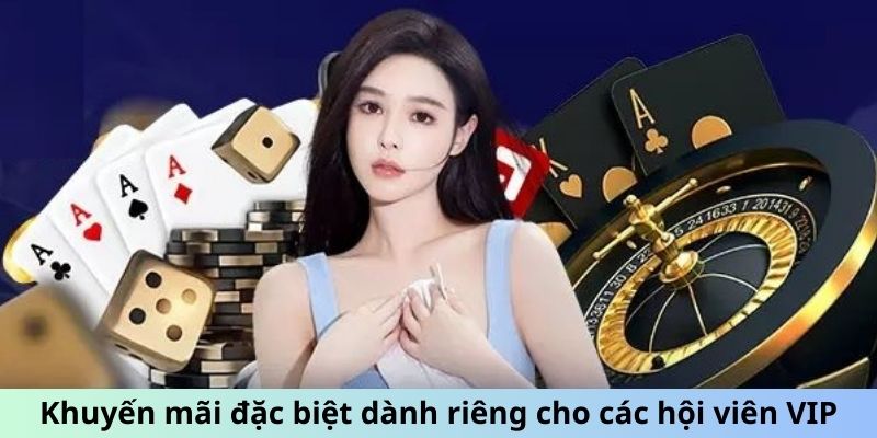 Khuyến mãi đặc biệt dành riêng cho các hội viên VIP