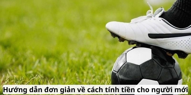 Hướng dẫn đơn giản về cách tính tiền cho người mới